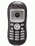 Motorola C250 ������� �������
