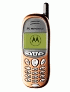 Motorola Talkabout T191 ������� �������
