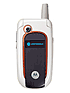 Motorola V501 ������� �������