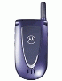 Motorola V66i ������� �������